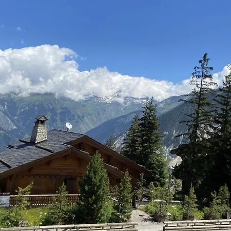 Apartment Sur Les Pistes, Lumineux Et 1850